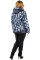 Куртка жіноча Bolyar 00184 синьо-бежева , фото  2