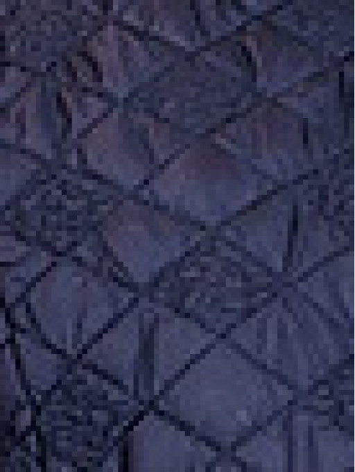 Куртка женская  Bolyar 00353 темно-синяя , фото  1