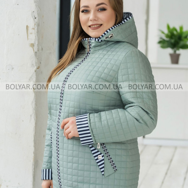 Женская куртка Bolyar смужка 00435 оливковая , фото 0